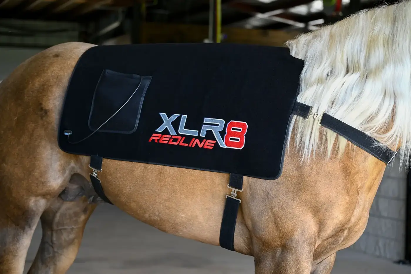 XLR8 Redline Back Wrap fényterápiás hátkezelő a ló hátán