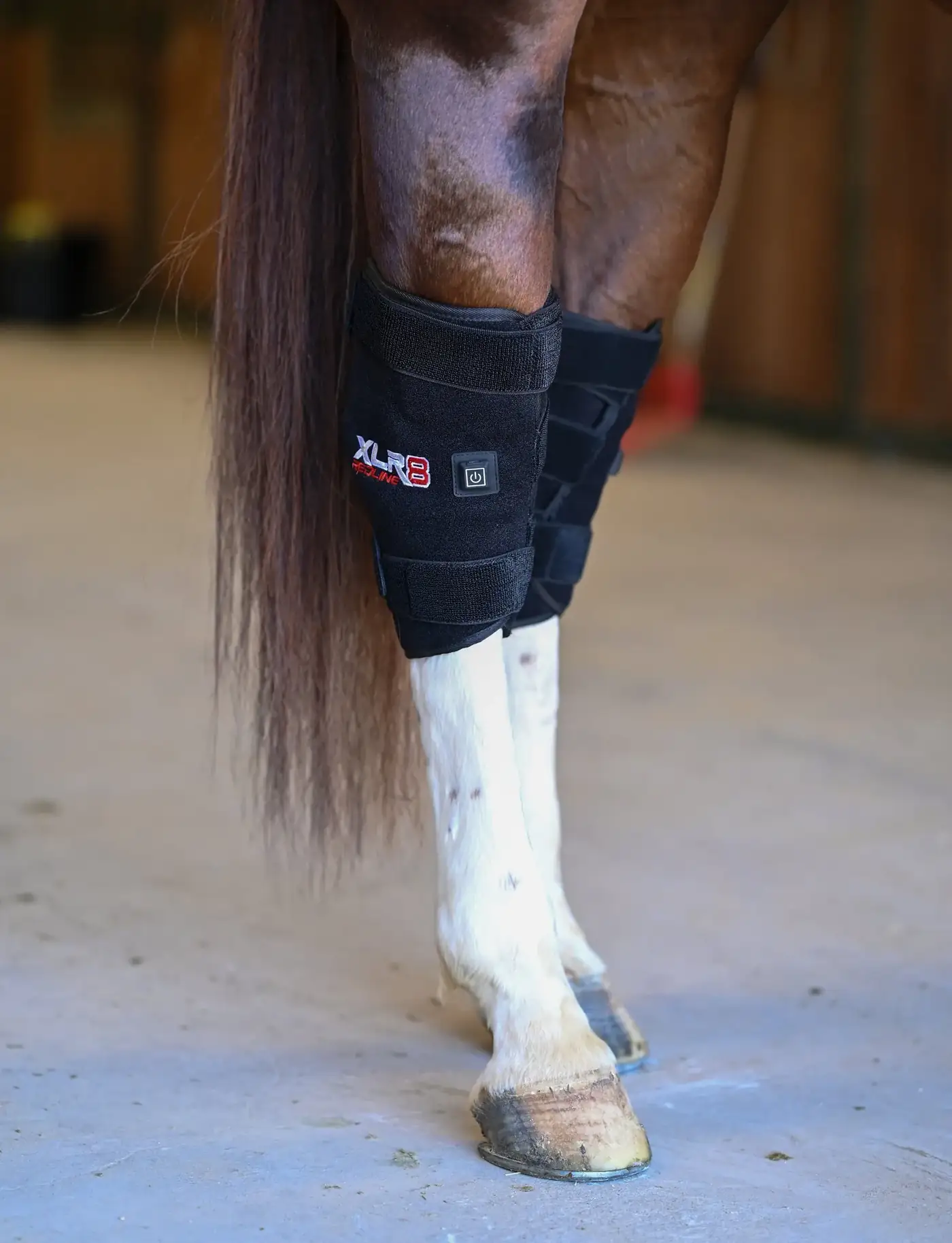 XLR8 Redline Tendon Wrap a ló lábán